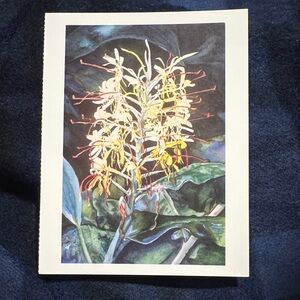 Elegant Botanical Art postcard Print